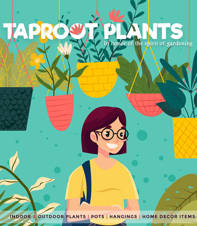 Taproot plant poster3